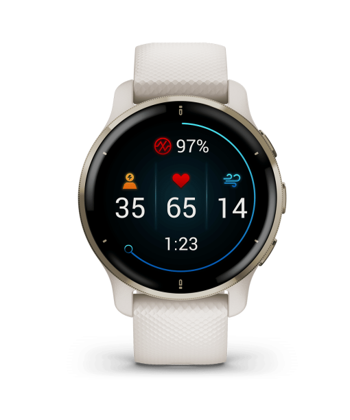 Garmin Venu 2 Plus - 010-02496-12