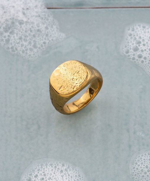 Rise ring i forgylt stål - Bilde 5