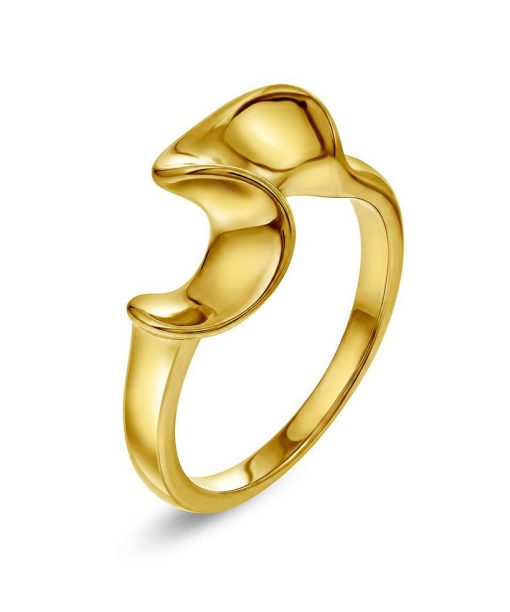 Wave ring i forgylt stål