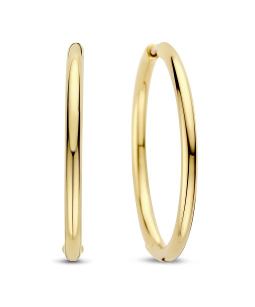 Ti Sento - Milano Earrings 78007SY