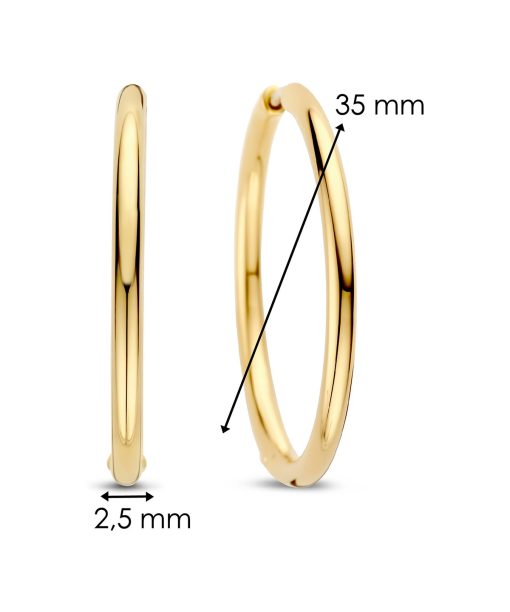 Ti Sento - Milano Earrings 78007SY - Bilde 5