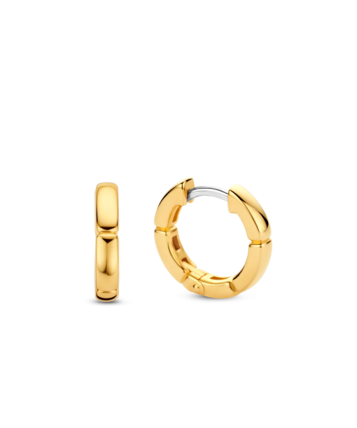 TI SENTO - Milano Earrings 7889SY