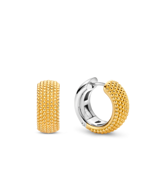 TI SENTO - Milano Earrings 7895SY