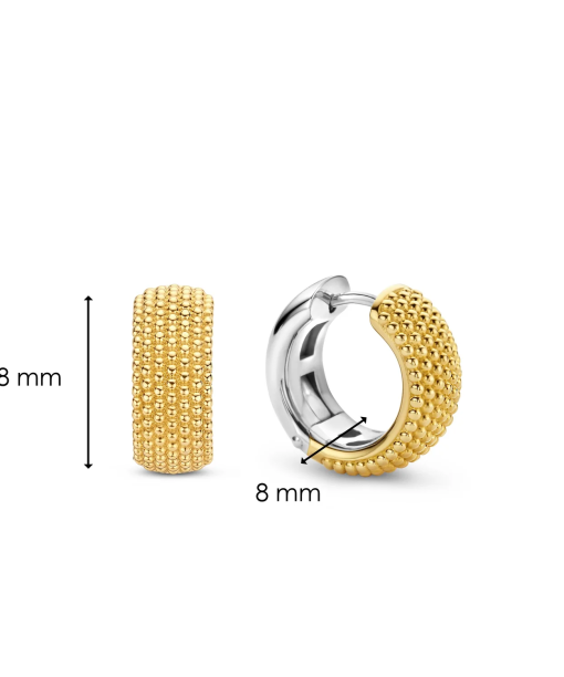 TI SENTO - Milano Earrings 7895SY - Bilde 5