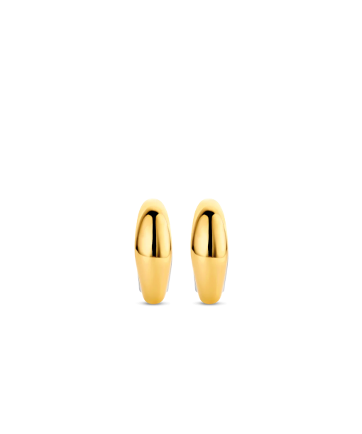 TI SENTO - Milano Earrings 7804SY