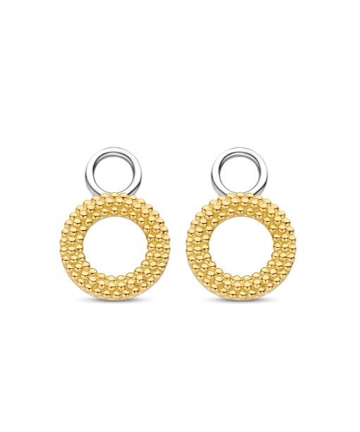 TI SENTO - Milano Ear Charms 9254SY
