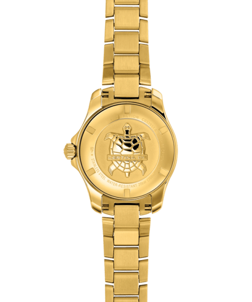 Alternative view of Certina DS Action Lady 29mm - C032.951.33.361.00